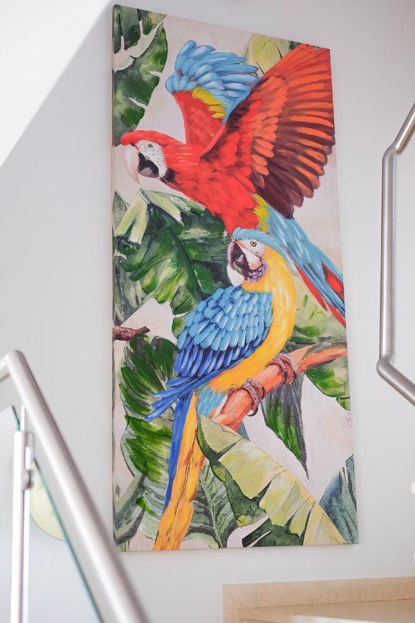 דירות לאגוּ‏ש Amazing Views Casa Hummingbird מראה חיצוני תמונה